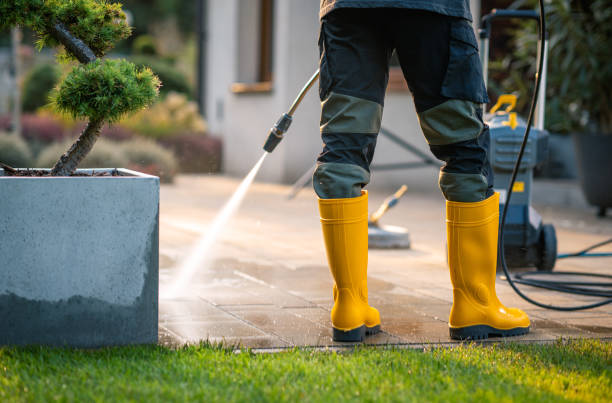 Roof Power Washing Services in Lakeland, NY